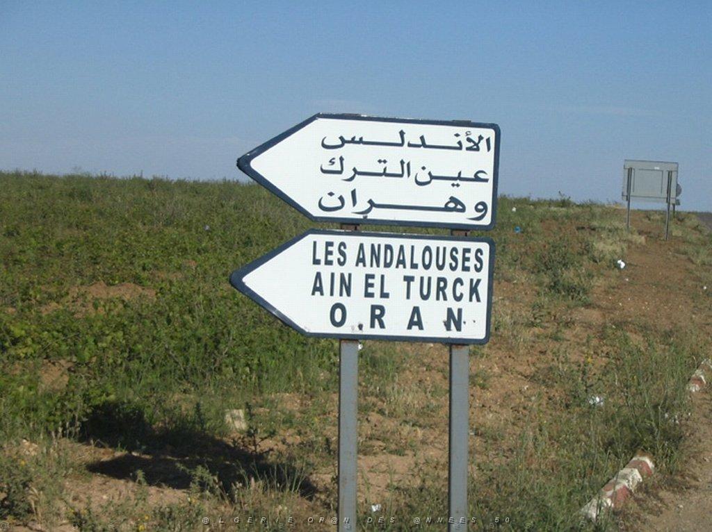 ORAN MAI 2008 3153 sur la route de Madere vers les Andalouses.jpg